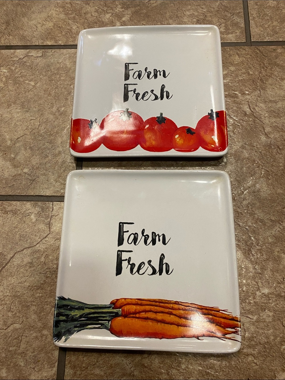 Farm Fresh Ceramic Serving /Sandwich Plates - White, Red & Orange